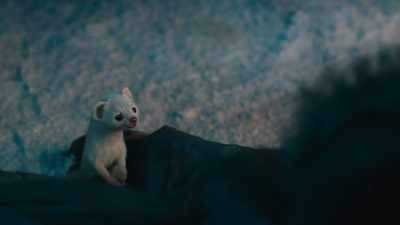 Apart from - His Dark Materials