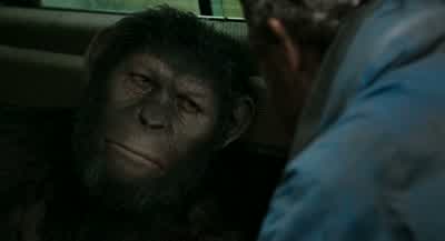 Ape... did... this. - Dawn of the Planet of the Apes