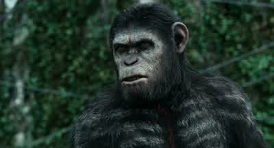 Ape home. - Dawn of the Planet of the Apes