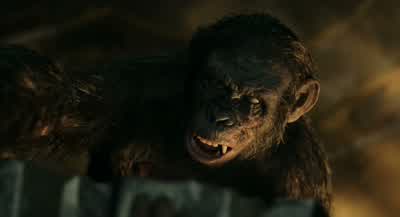 Ape... not kill... ape. - Dawn of the Planet of the Apes