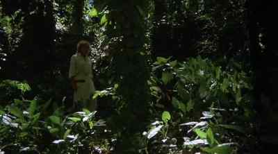 [apes gibbering] - Tarzan the Ape Man