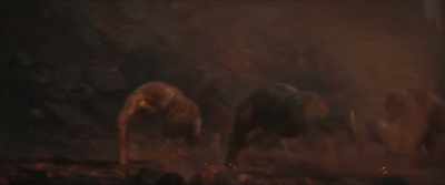 [apes screeching] - Godzilla x Kong: The New Empire