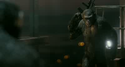 Apes together strong - Dawn of the Planet of the Apes
