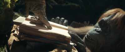Apes understood this meaning... - Kingdom of the Planet of the Apes