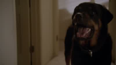 Apollo! - Teen Wolf