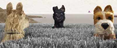 Apparently, I bit him so hard,
I nearly chewed his hand off. - Isle of Dogs