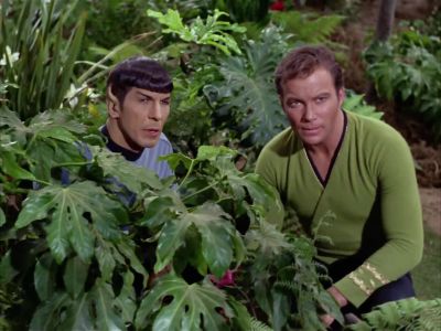 Apparently our hypothesis is correct.
There is no living being there. - Star Trek