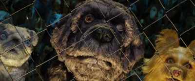 Appeal to the people.
Stop the mayor. - Isle of Dogs