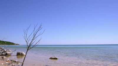 Appelman: ON THAT ISLAND, - Children of the Snow