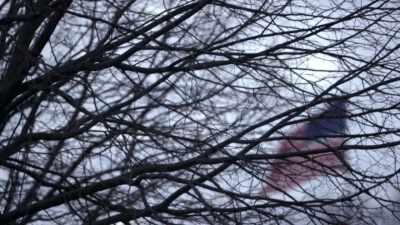 Appleman: WHEN I REALLY
COMMITTED TO THE INVESTIGATION, - Children of the Snow