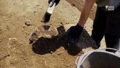 Archaeologists have found
some tantalising clues - Curse of the Ancients with Alice Roberts