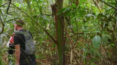 ARCHEOLOGIST MARK ROBINSON
IS ON A MISSION TO TRACE - Lost Cities of the Amazon