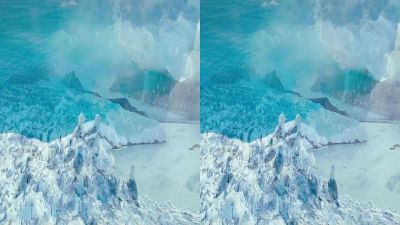 Arctic animals need ice to survive - To the Arctic