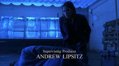 Are you all right, David? - CSI: Crime Scene Investigation