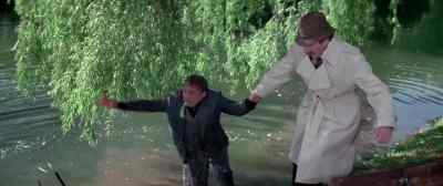 Are you all right,
former Chief Inspector? - The Pink Panther Strikes Again