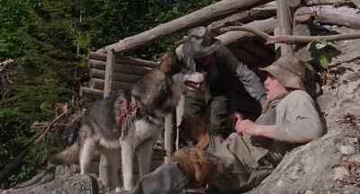 - Are you all right?
- Oh! - White Fang