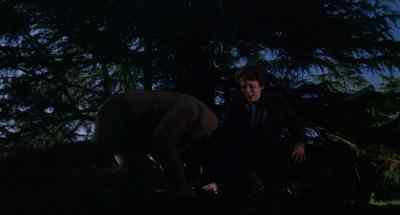 Are you all right? - The Boy Who Cried Werewolf