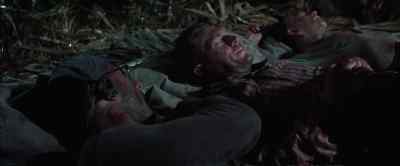 Are you asleep? - Papillon