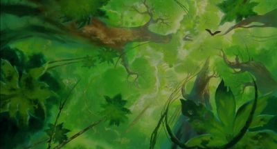 Are you crazy going above the canopy - FernGully: The Last Rainforest