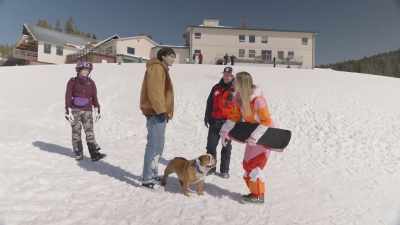 Are you doing
the snowboarding competition
in a couple weeks? - Powder Pup