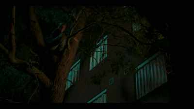 - Are they going to die?
- No. No. - Too Close