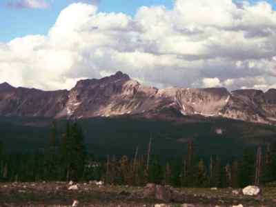 " Are we going to leave
for back home, dad. " - Mountain Family Robinson