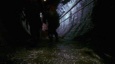 Are you guys sure you know where you're going - Teenage Mutant Ninja Turtles