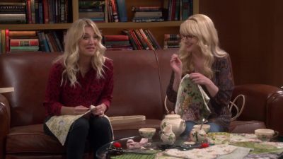 Are you having fun? - The Big Bang Theory