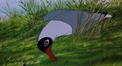 Are you hurt - Watership Down