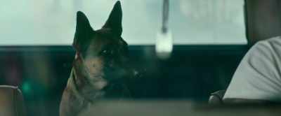 -Are you in or are you out?
-[whines] - Dog