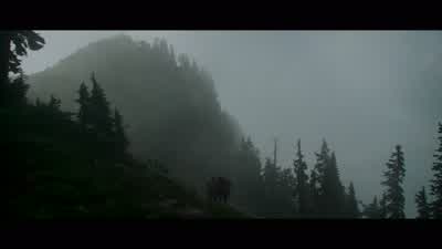 Are you kiddin' me, Axel? - The Deer Hunter