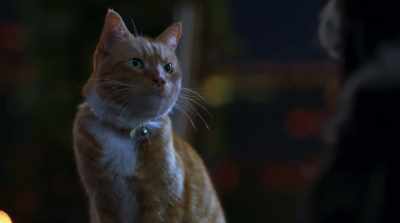 Are you kidding?
I was born ready. - Cats & Dogs 3: Paws Unite