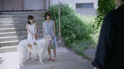 Are you Kyoshiro Otosaka? - Last Letter
