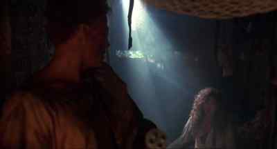 Are you looking for that woman? - Cyborg