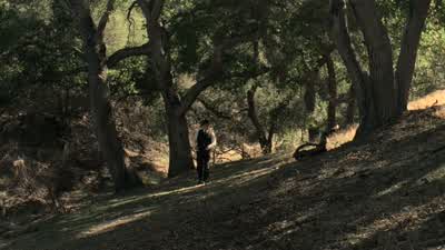Are you lost? - Westworld