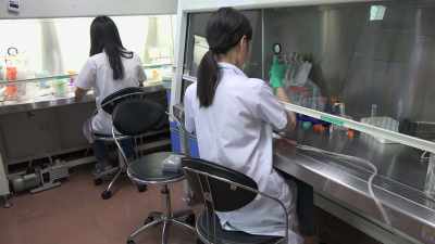 Are often undetectable
To humans, - Secrets of the Underground