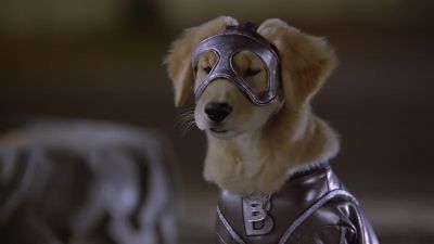 Are you okay B Dawg - Super Buddies