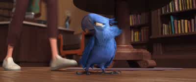 Are you okayPerhaps he's too domesticatedlt was very nice of you to stop in and squawk aroundand throw my birdBut now it's time for you to gol'm very sorry l'm very sorry butWait wait Linda LindaThis could be our last chanceHave a safe flightLinda please - Rio