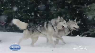 ♪ Are you ready dear ♪ - A Winter Getaway