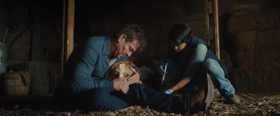 - Are you ready, Ethan?
- Yeah. - A Dog's Journey