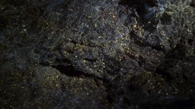 Are you seeing this? - CSI: Crime Scene Investigation