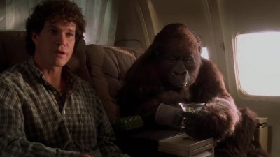 Are you serving that ape a martini She's allowed one It'll calm her down - Congo