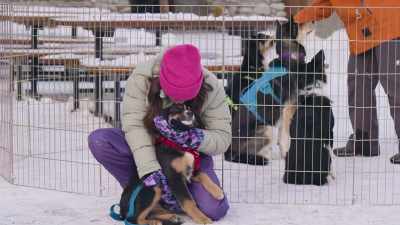 Are some of - Love in Glacier National: A National Park Romance