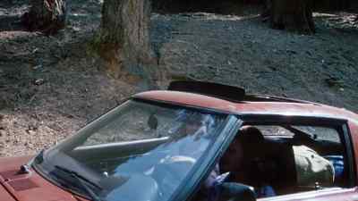 - Are you sure about this?
- I'm sure I'm sure. - The Forest