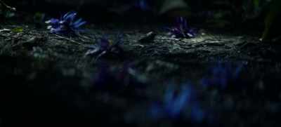 Are you sure following
this path of flowers - The Winchesters