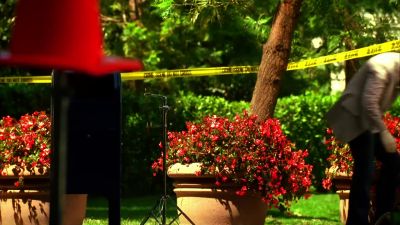 Are you sure this is a
WFOR microphone ? - CSI: Miami