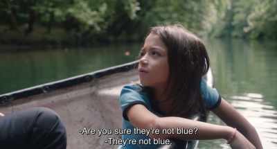 -Are you sure they're not blue?
-They're not blue. - 20,000 Species of Bees