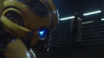 Are you sure
this is a good idea? - Bumblebee