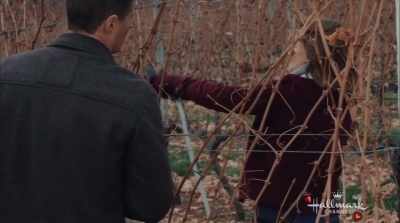 Are you sure you're okay - Valentine in the Vineyard