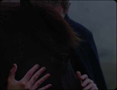 Are you the flying horse, swooping down
from the heavens to devour us? - Godland
